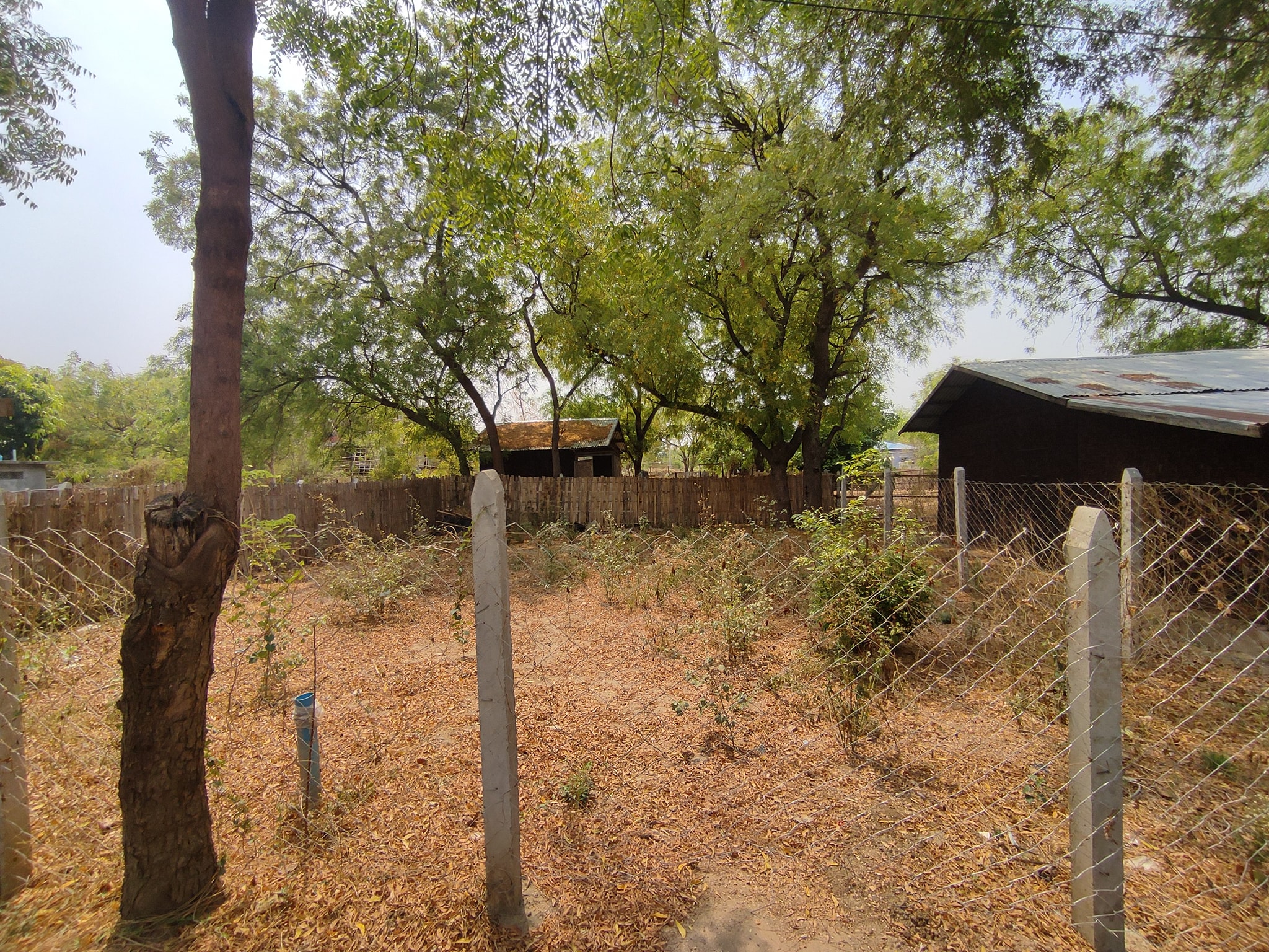 land
